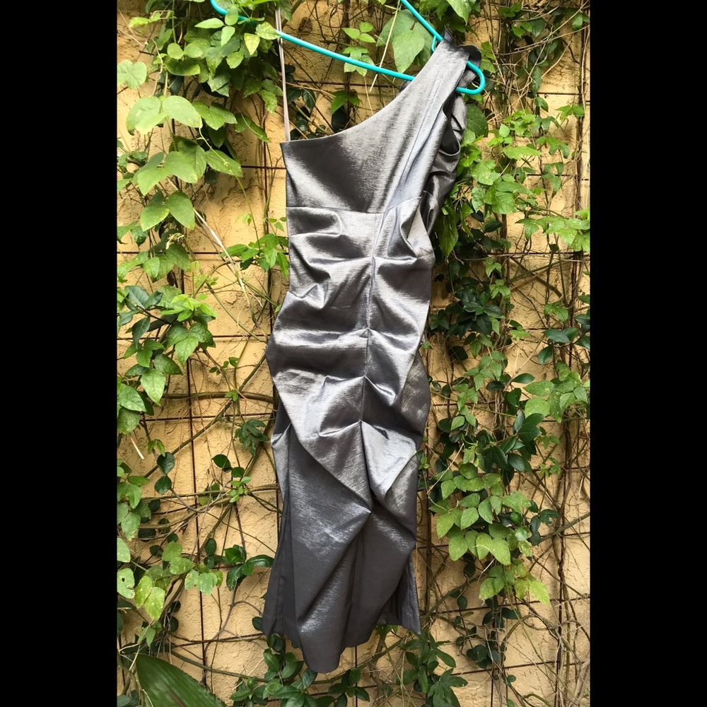 CACHÉ Beauteous Silvery Gray Prom / Cocktail Dress / Formal Sz. 6 - Picture 4 of 9